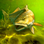 my-fishing-world.png