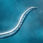 bionix-spore-evolution-sim-3d.png